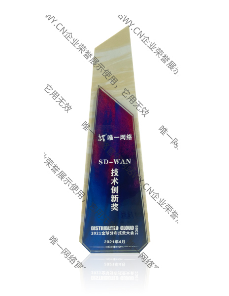SD-WAN技術(shù)創(chuàng)新獎(jiǎng)