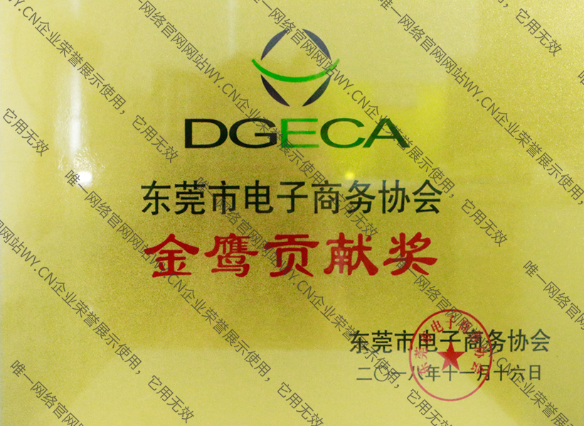 東莞電子商務(wù)協(xié)會(huì)金鷹貢獻(xiàn)獎(jiǎng)